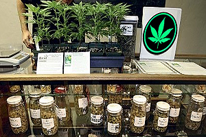 headshopratings.com